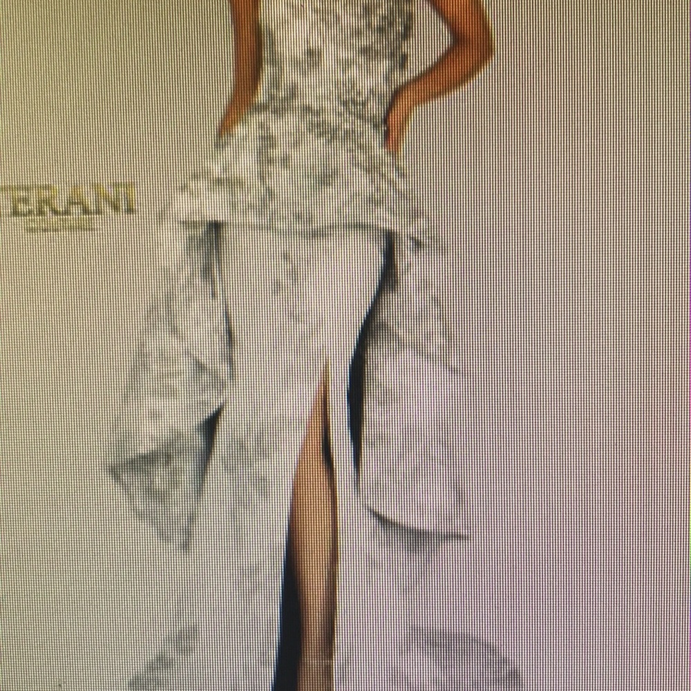 Terani Couture evening gown NEW never worn.